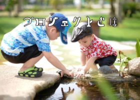 プロジェッタッツィオーネとは